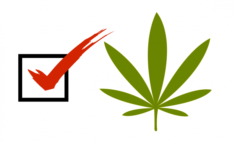 vote-marijuana